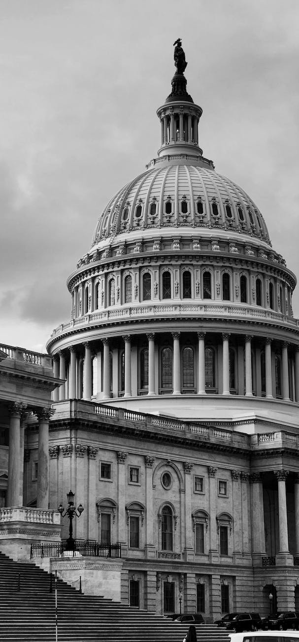 Black, white, and gray-toned photo of the Capitol Dome
